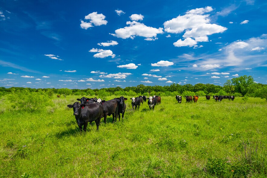 More Photos Of Highway 14, Groesbeck Land For Sale