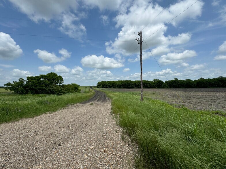 More Photos Of 9024 FM 64, Pecan Gap Land For Sale