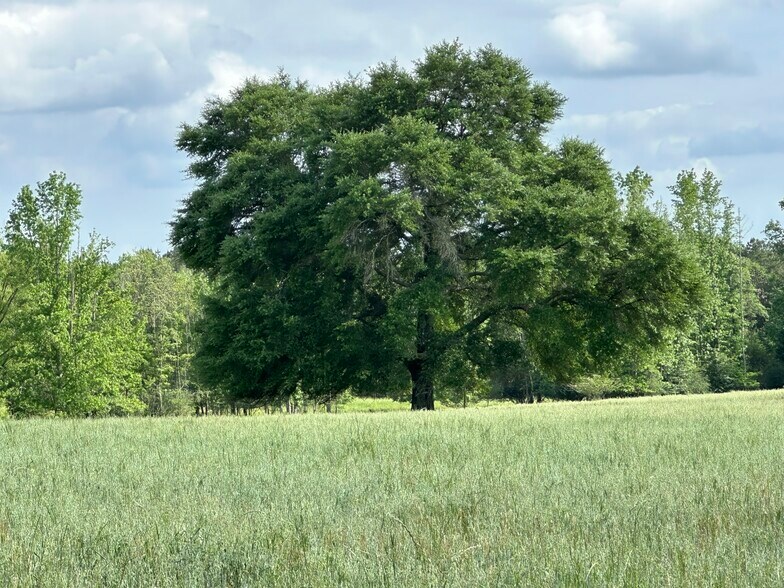 More Photos Of Millside Road, Laurel Hill Land For Sale