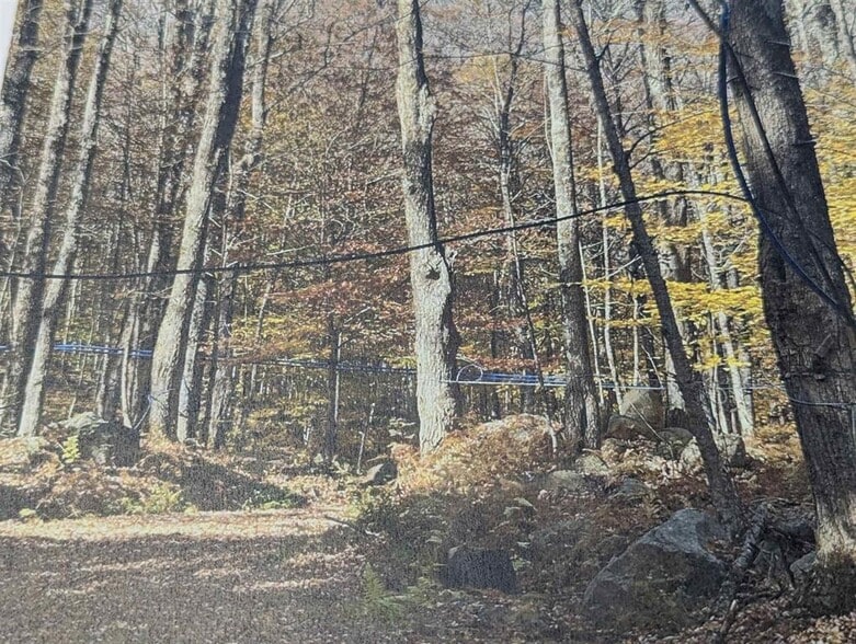 Primary Photo Of 1928 VT-131, Springfield Land For Sale