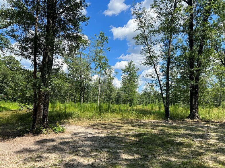 More Photos Of 400 Chula Brookfield Rd, Chula Land For Sale