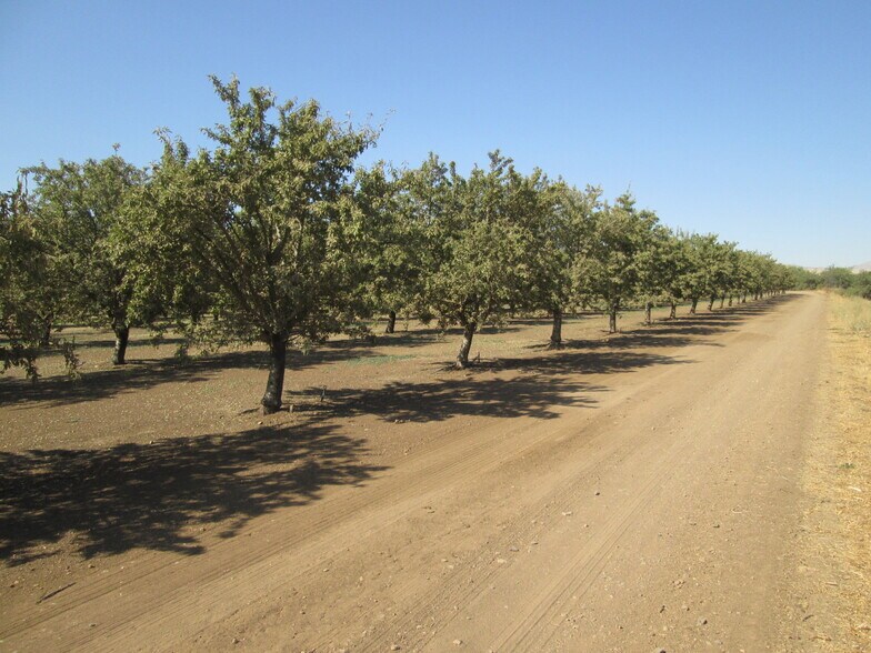More Photos Of 29407 Eastin Rd, Newman Land For Sale