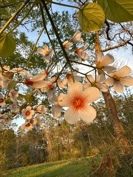 More Photos Of 3972 Millside Rd, Laurel Hill Specialty For Lease