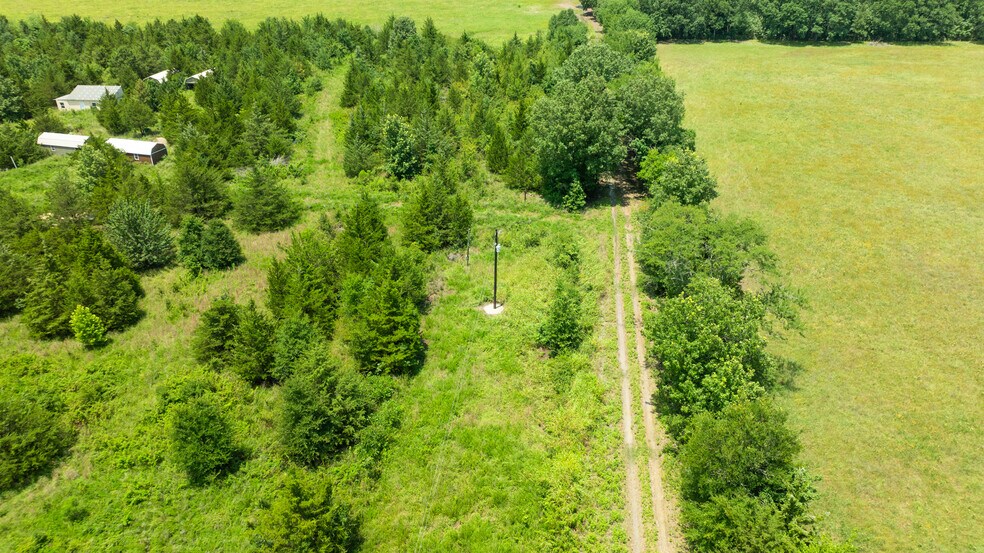 More Photos Of 449 County Road 1357, Clarksville Land For Sale