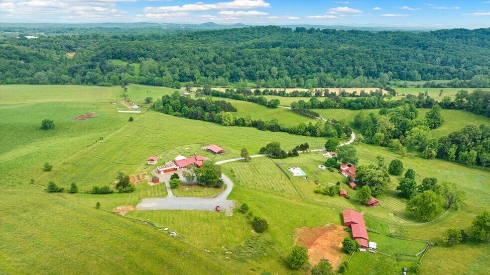 More Photos Of 1830 Thrift Rd, Madison Winery Vineyard For Sale