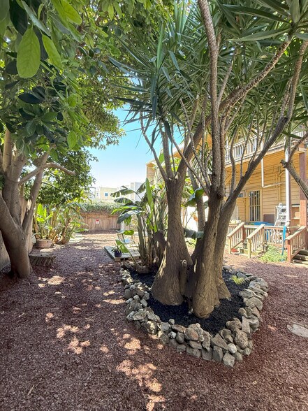 More Photos Of 423-433 S Van Ness Ave, San Francisco Apartments For Sale