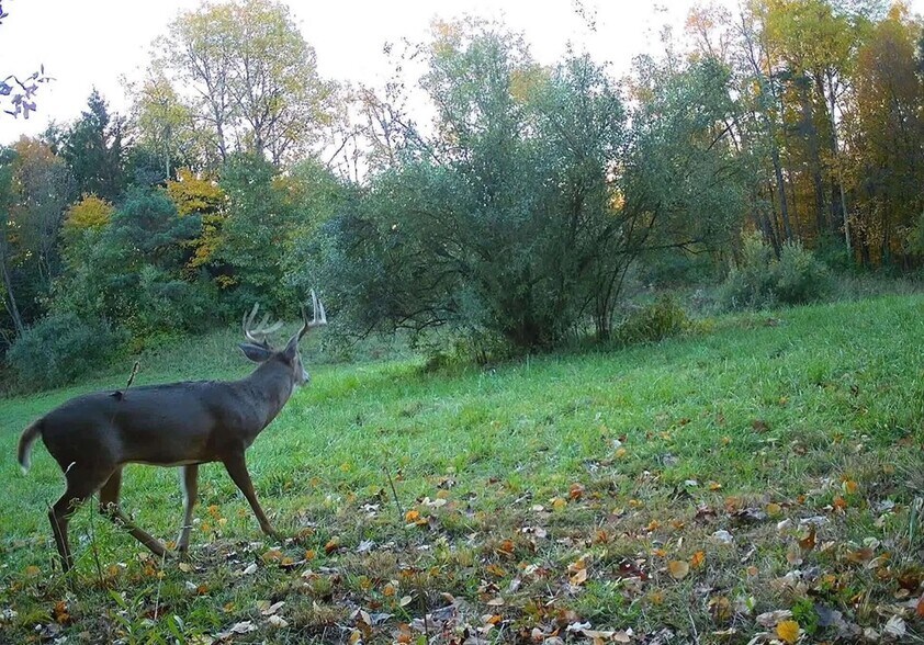 More Photos Of 0 Lower Mudlic rd, Mayport Land For Sale