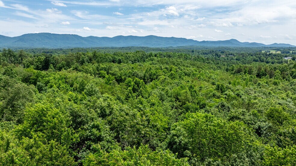 More Photos Of 1981 Jamestown Rd, Morganton Land For Sale