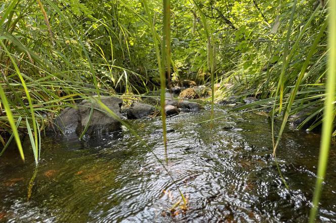 More Photos Of 26497 US-41, Covington Flex For Sale