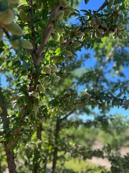 More Photos Of 6000 Tim Bell Rd, Oakdale Land For Sale