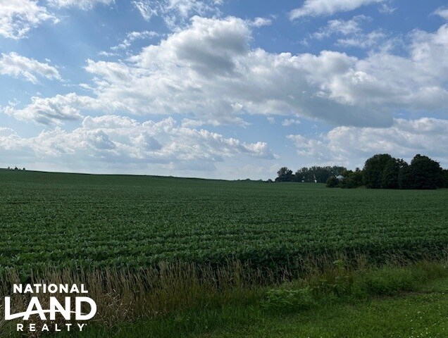 More Photos Of 820 Johnson Ave SW, Cokato Land For Sale