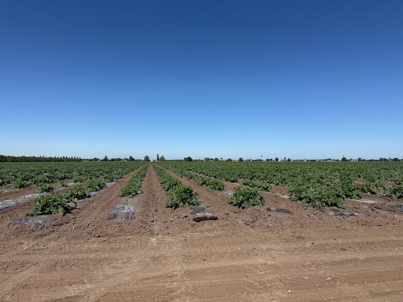 Primary Photo Of 2110 Drais Rd, Stockton Land For Sale