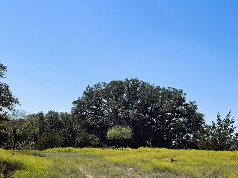 More Photos Of 1276 Farm to Market Road 574, Mullin Land For Sale