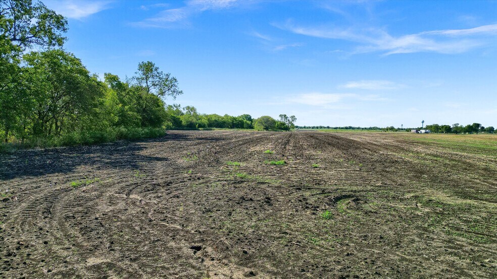 More Photos Of 229 Pike Rd, Gunter Land For Sale