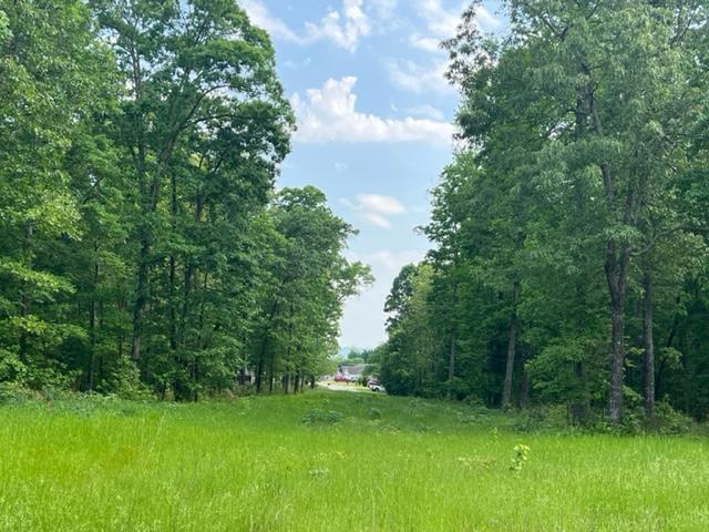 More Photos Of Harrison St / US HWY 69, Batesville Land For Sale