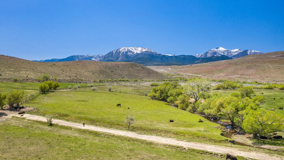 More Photos Of 4100 Joy Lake Rd, Reno Land For Sale