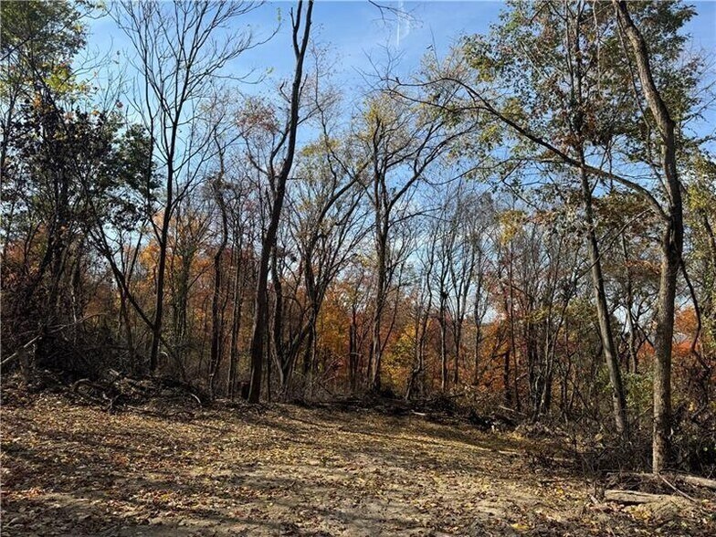More Photos Of 0 Fallen Timber rd, Avella Land For Sale