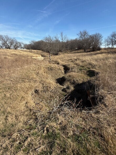 More Photos Of 363 County Road 4403, Grandview Land For Sale