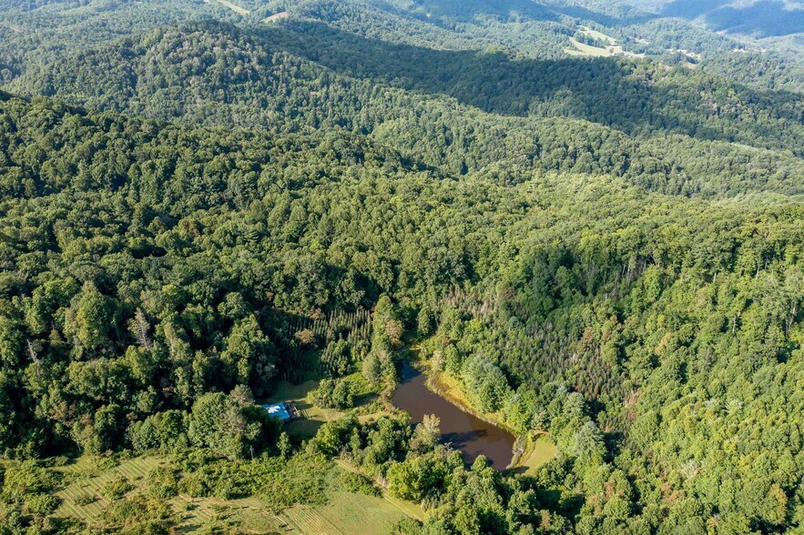More Photos Of 306 Bear Branch rd, Roan Mountain Land For Sale