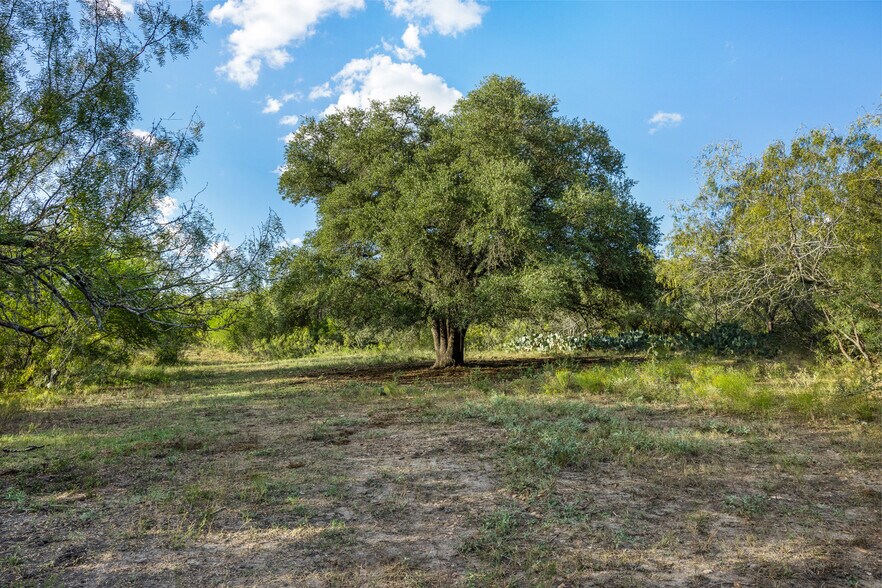 More Photos Of 399 Seals Creek Rd, Lockhart Land For Sale