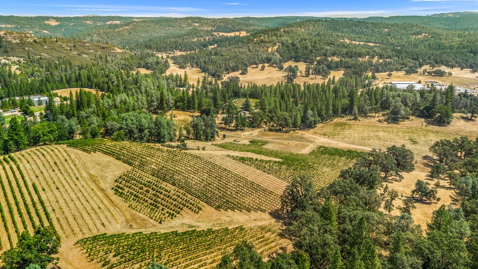 More Photos Of 4282 Pleasant Valley Rd, Placerville Specialty For Sale
