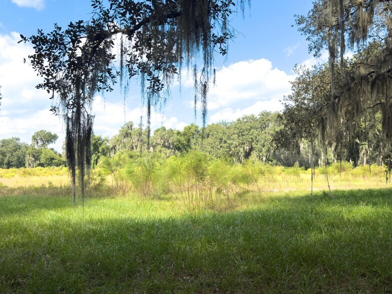 More Photos Of W C 48, Bushnell Land For Sale