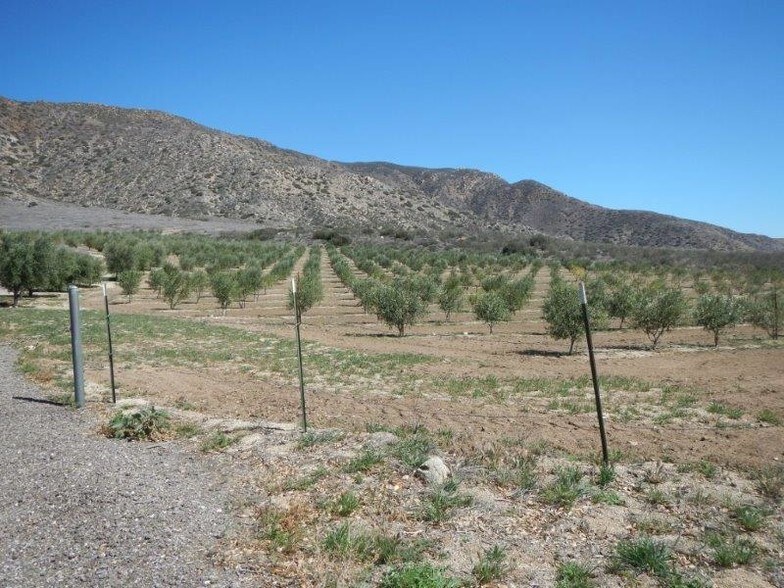 More Photos Of 0 San Felipe Rd, Warner Springs Land For Sale
