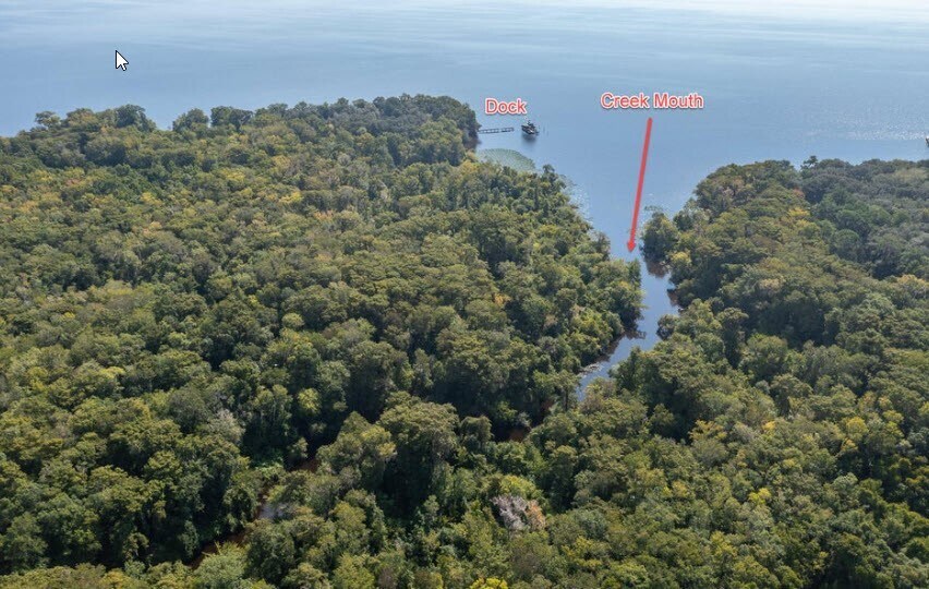 More Photos Of 254 Saint Johns Dr, Palatka Land For Sale