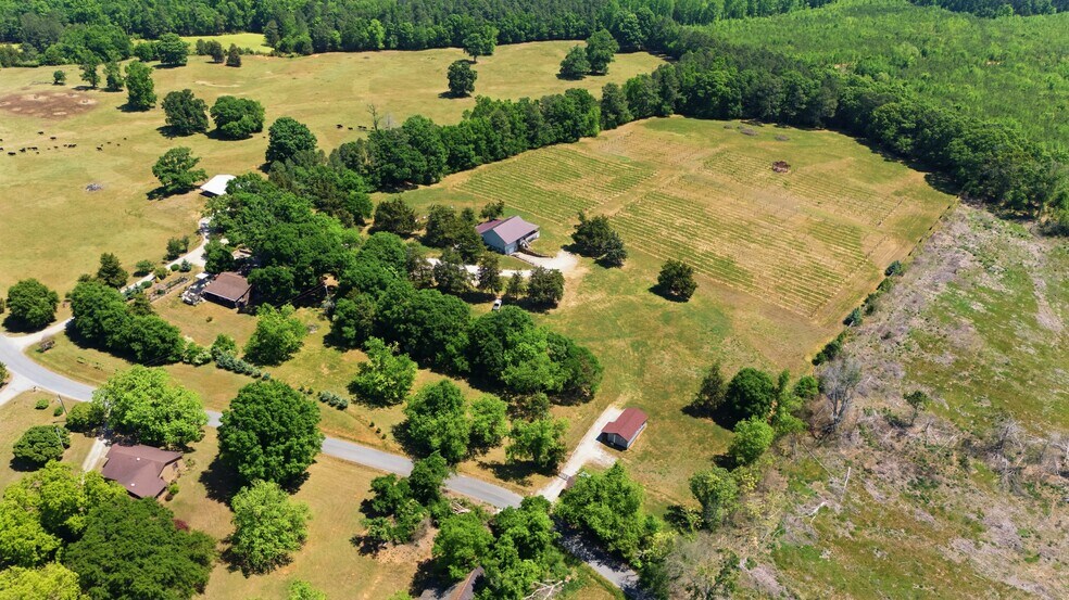 More Photos Of 1650 Dusty Rd, Newberry Winery Vineyard For Sale
