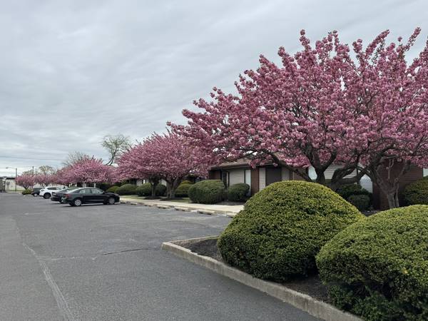 More Photos Of Sunset Road and Hospital Drive, Willingboro Medical For Lease