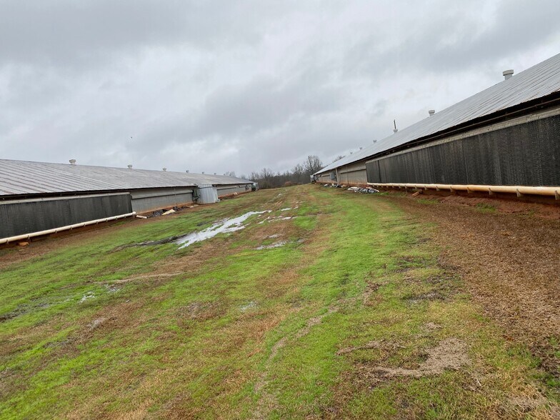More Photos Of 6537 Maysville Rd, Maysville Land For Sale