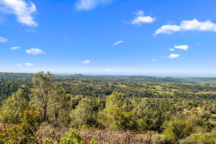 More Photos Of 6781 Tower, Somerset Winery Vineyard For Sale