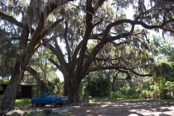 More Photos Of 7707 Holden Park Rd, Hawthorne Land For Sale