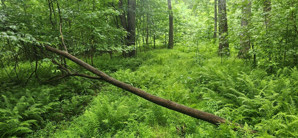 More Photos Of 8710 Poorhouse Rd, Port Tobacco Land For Sale