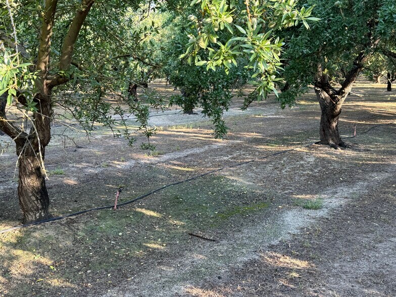 More Photos Of 2700 North Ave ave, Modesto Land For Sale
