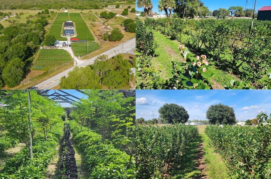 More Photos Of 3510 Walk in Water Rd, Lake Wales Winery Vineyard For Sale