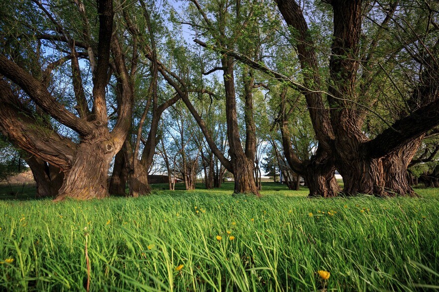 More Photos Of 59424 CO-69, Hillside Hotel For Sale