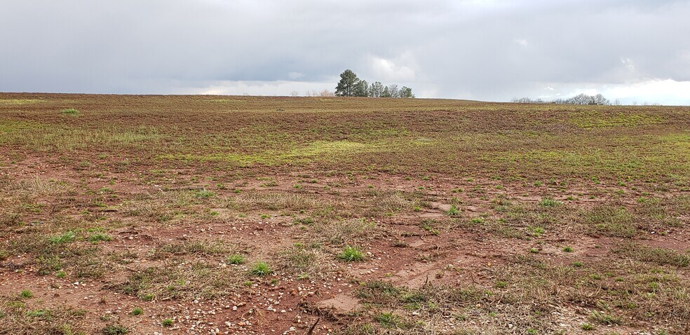 More Photos Of 29423 Old Highway 20, Madison Land For Sale