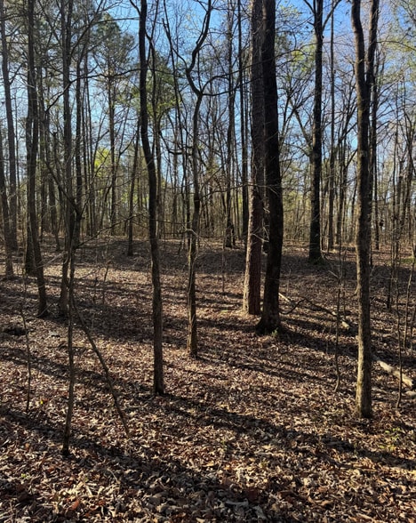 More Photos Of 53 Acres On George Roy Pky, Calera Land For Sale