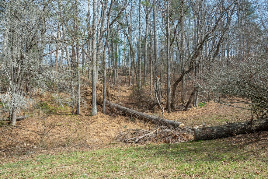 More Photos Of 1720 Brevard Rd, Arden Land For Sale