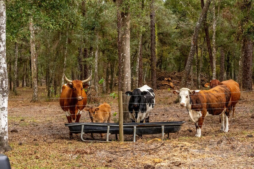 More Photos Of 24091 Richbarn Rd, Brooksville Land For Sale