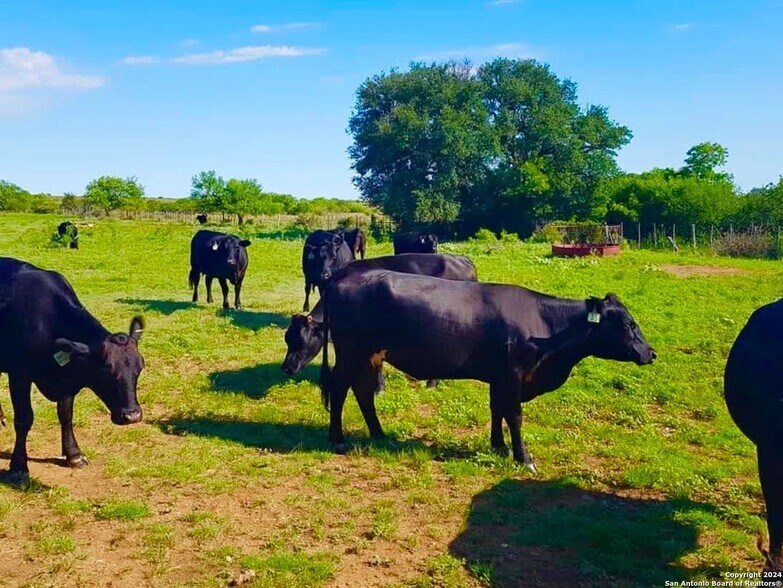 More Photos Of 4703 Scenic Lake Dr, Schertz Land For Sale