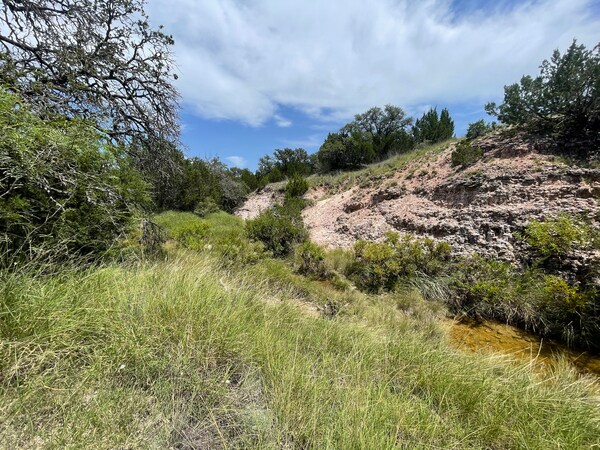 More Photos Of 221 W Rolling Oaks Dr, Goldthwaite Land For Sale