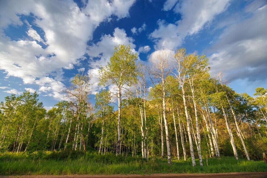 More Photos Of 22090 Co 212 rd, Oak Creek Land For Sale