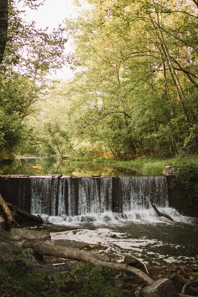 More Photos Of 21405 Parks Mill Rd, Abingdon Lodge Meeting Hall For Sale