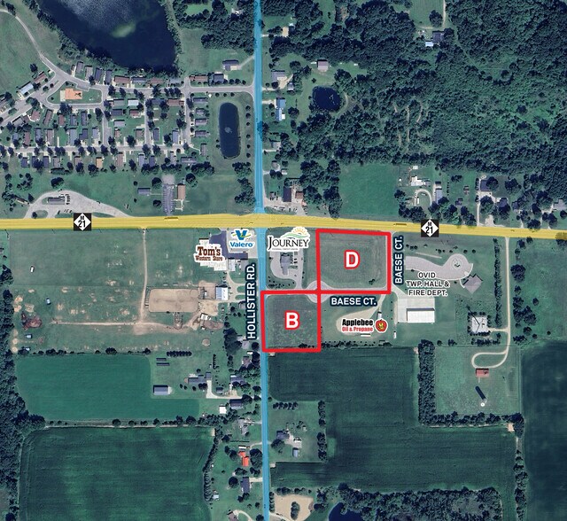 Primary Photo Of 1085 Baese Ct, Ovid Land For Sale