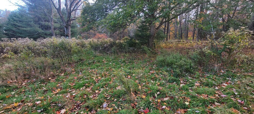 More Photos Of 1195 State Route 17B, Bethel Land For Sale