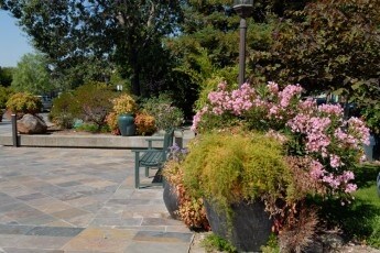 More Photos Of 150 N Wiget Ln, Walnut Creek Office For Sale