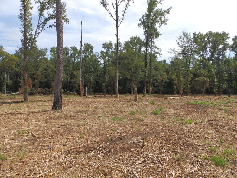 More Photos Of 16393 Highway 31, Tyler Land For Sale