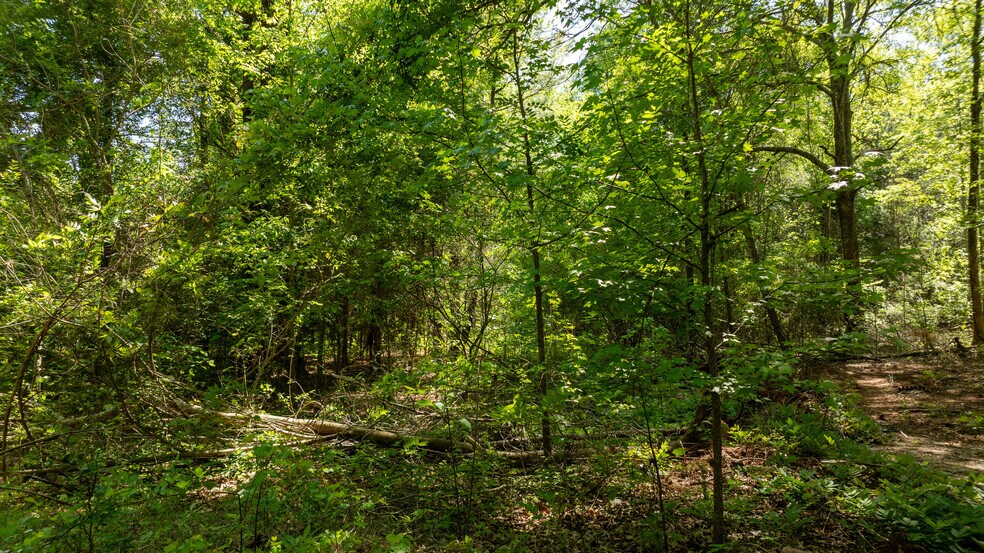 More Photos Of Lexington/Baldwin Park, Lagrange Land For Sale